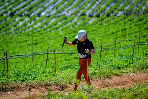 BIB: 
                            <button type="button" onclick="openModal(19164741)" class="btn btn-primary btn-sm float-right btn-popup" data-toggle="modal" data-target=".modal-high-quality">
                        <i class="fas fa-shopping-cart"></i> Add to Cart
                    </button>
                                            <button type="button" onclick="isThisMe(19164741, true)" class="btn btn-success btn-sm float-right btn-popup btn-isme hidden" data-toggle="tooltip" data-placement="bottom" title="นี่คือรูปของคุณใช่ไหม คลิกที่นี่เพื่อเอาเข้าอัลบั้ม">
                        <i class="fas fa-plus"></i> Add to album
                    </button>
                    <button type="button" onclick="isThisMe(19164741, false)" class="btn btn-warning btn-sm float-right btn-popup btn-isnotme hidden">
                        <i class="fas fa-ban"></i> Remove from album
                    </button>